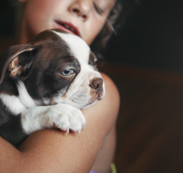 ¿Cual es el mejor alimento para un cachorro?